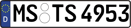 MS-TS4953