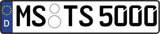 MS-TS5000