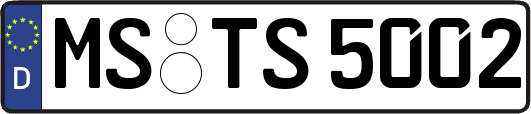 MS-TS5002
