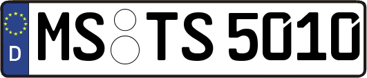 MS-TS5010