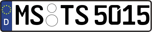 MS-TS5015