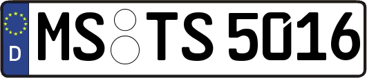 MS-TS5016