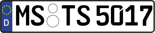 MS-TS5017