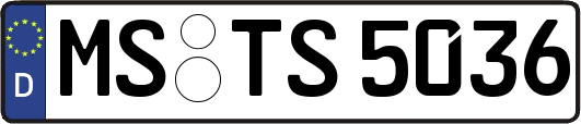 MS-TS5036