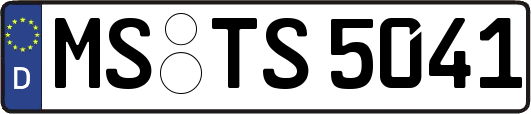 MS-TS5041