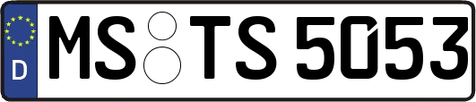 MS-TS5053