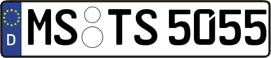 MS-TS5055