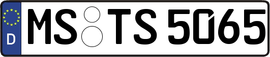 MS-TS5065