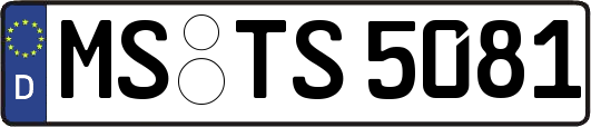 MS-TS5081
