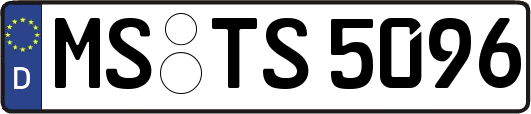 MS-TS5096