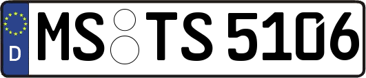 MS-TS5106