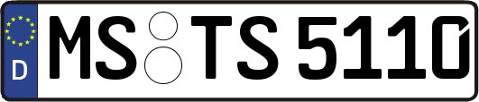 MS-TS5110