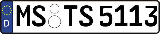 MS-TS5113