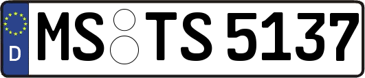 MS-TS5137