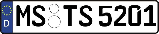 MS-TS5201
