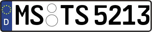 MS-TS5213