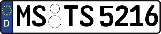 MS-TS5216