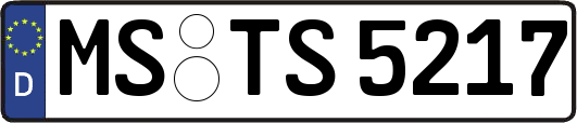 MS-TS5217