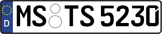MS-TS5230