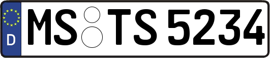 MS-TS5234