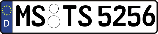 MS-TS5256