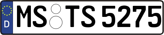 MS-TS5275