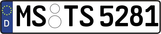 MS-TS5281