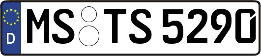 MS-TS5290