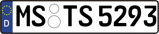 MS-TS5293