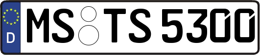 MS-TS5300