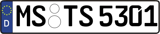 MS-TS5301