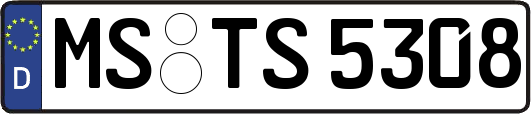 MS-TS5308