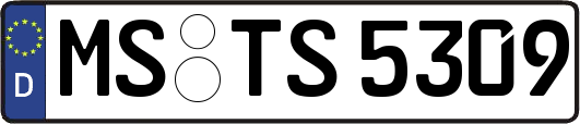 MS-TS5309