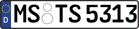 MS-TS5313