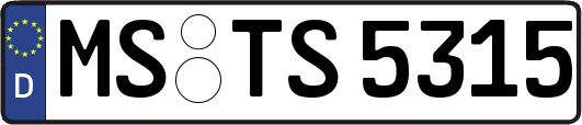 MS-TS5315