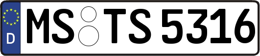 MS-TS5316