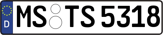 MS-TS5318