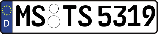MS-TS5319