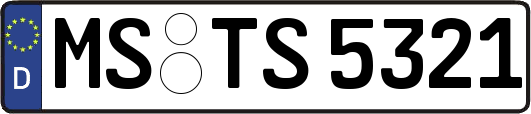 MS-TS5321