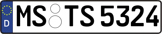 MS-TS5324