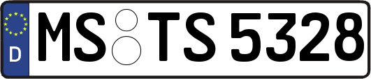 MS-TS5328