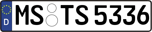 MS-TS5336
