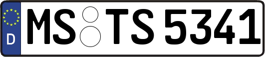 MS-TS5341
