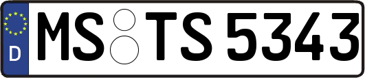 MS-TS5343