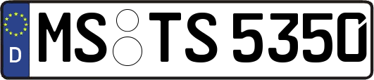 MS-TS5350