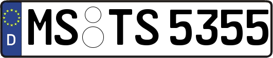 MS-TS5355