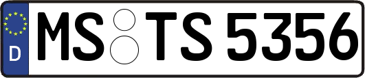 MS-TS5356