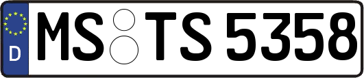 MS-TS5358