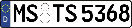 MS-TS5368