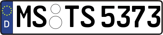 MS-TS5373